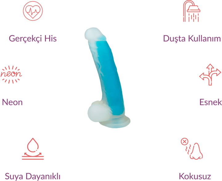 LittleAdam Testisli Dildo 19 CM - GizliSekme