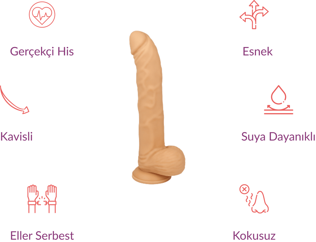 W. Eric 22 CM Realistik Penis - GizliSekme