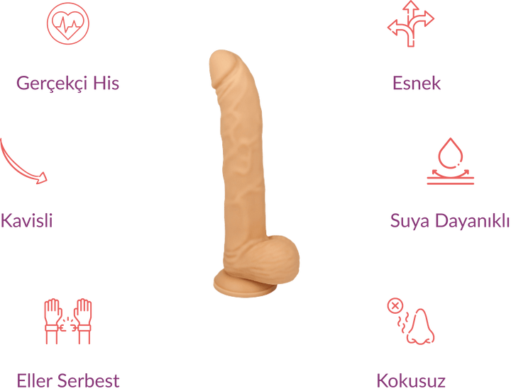 W. Eric 22 CM Realistik Penis - GizliSekme